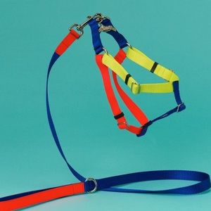 COPY - Ware of the dog nylon color block harness